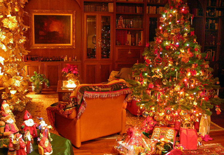 Noël en France : les traditions, activités et célébrations
